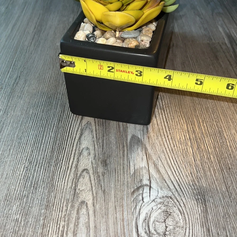 World Market Faux Succulent Arrangement In Ceramic Box-Like New